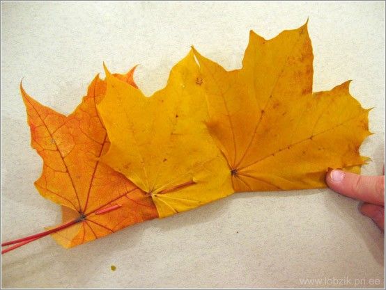 Корона из листьев (16 фото)