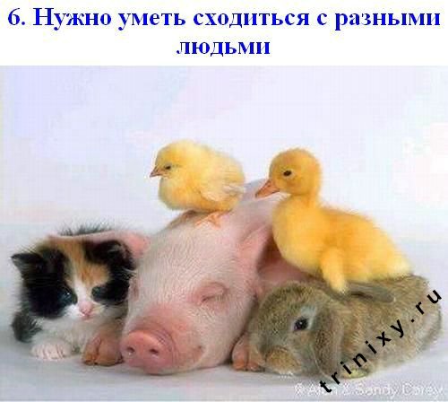 http://de.trinixy.ru/pics2/20071213/schastje_06.jpg