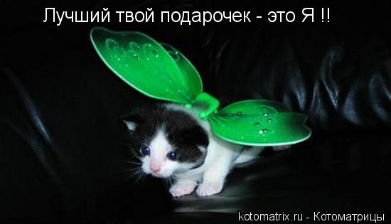 http://de.trinixy.ru/pics3/20080307/kotomatrix_30.jpg