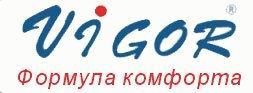 Логотип Vigor