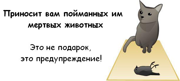 http://de.trinixy.ru/pics3/20081114/cat_05.jpg