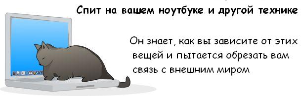 http://de.trinixy.ru/pics3/20081114/cat_08.jpg