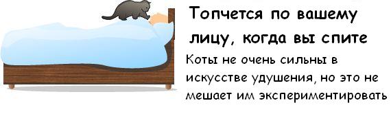 http://de.trinixy.ru/pics3/20081114/cat_09.jpg