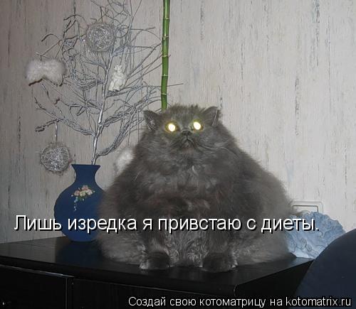 фото ржачных котов