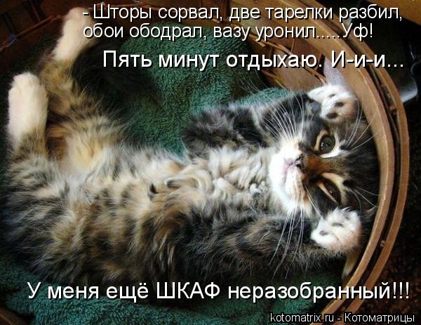 http://de.trinixy.ru/pics3/20081230/kotomatrix_25.jpg