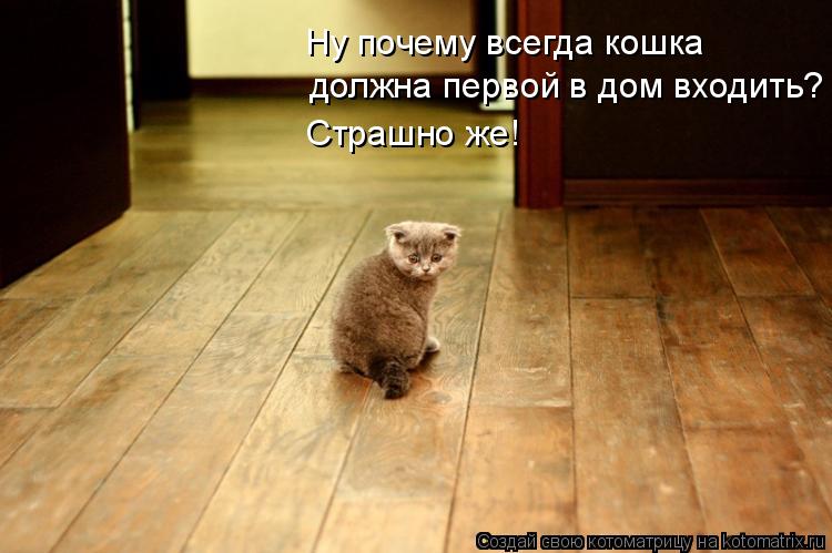 http://de.trinixy.ru/pics4/20090319/kotomatrix_01.jpg