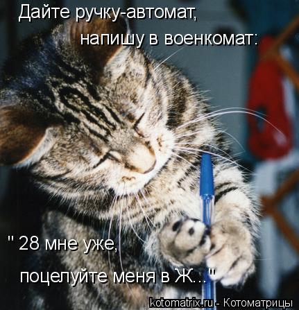 http://de.trinixy.ru/pics4/20090410/kotomatrix_34.jpg