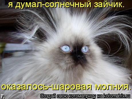 http://de.trinixy.ru/pics4/20090921/kotomatrix_88.jpg