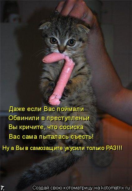 http://de.trinixy.ru/pics4/20091103/catmatrix_12.jpg