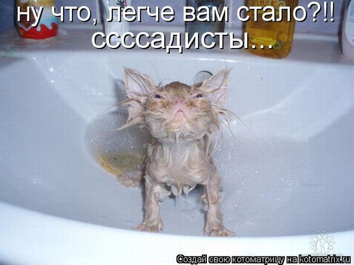 http://de.trinixy.ru/pics4/20100129/kotomatrix_01.jpg