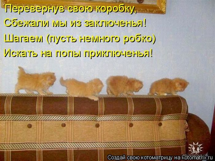 http://de.trinixy.ru/pics4/20100129/kotomatrix_40.jpg