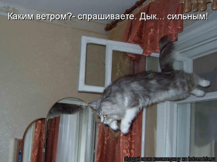 http://de.trinixy.ru/pics4/20100409/kotomatrici_28.jpg