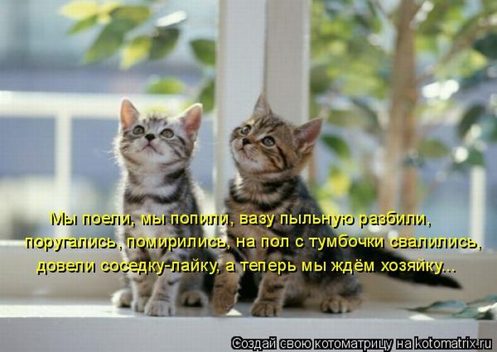 http://de.trinixy.ru/pics4/20100514/kotomatrix_46.jpg