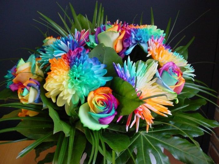 http://de.trinixy.ru/pics4/20100607/colorful_flowers_14.jpg