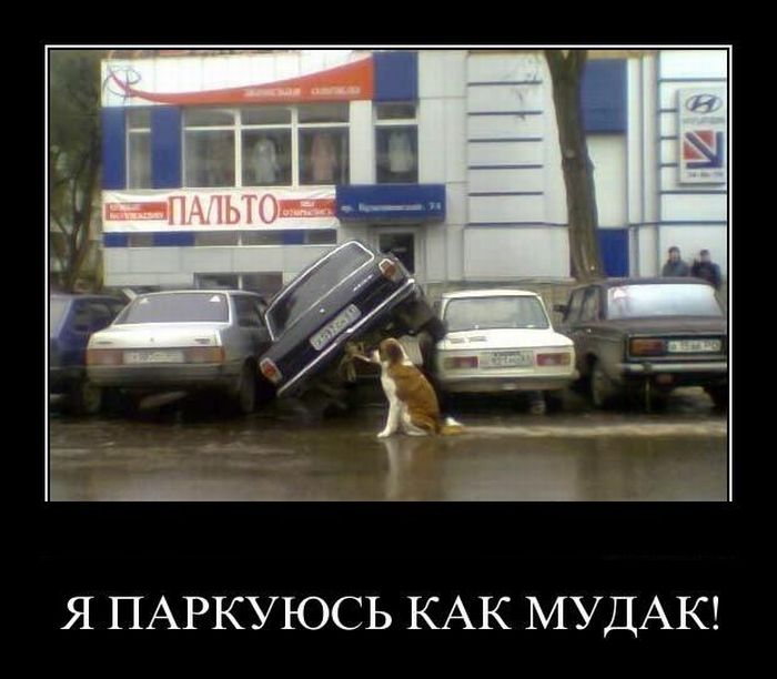 http://de.trinixy.ru/pics4/20110414/demotivatory_01.jpg
