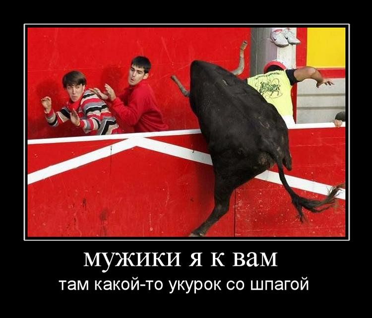 http://de.trinixy.ru/pics4/20110415/demotivatory_02.jpg
