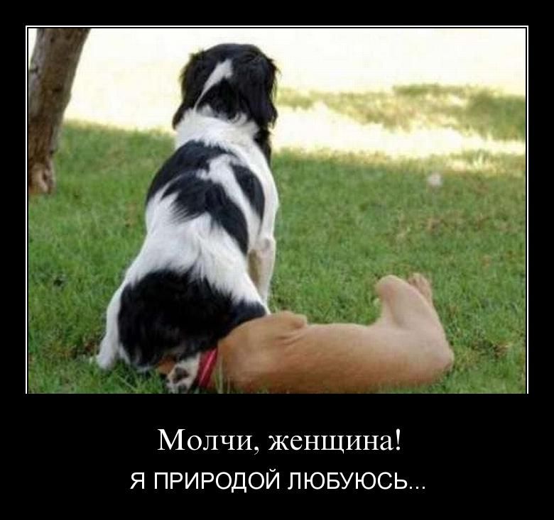 http://de.trinixy.ru/pics4/20110415/demotivatory_09.jpg