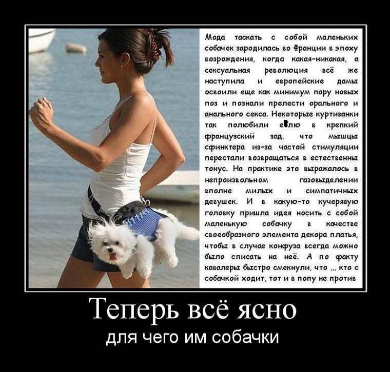 http://de.trinixy.ru/pics4/20110415/demotivatory_19.jpg