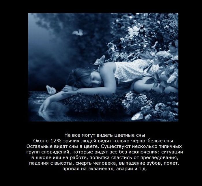 http://de.trinixy.ru/pics4/20110418/dream_01.jpg