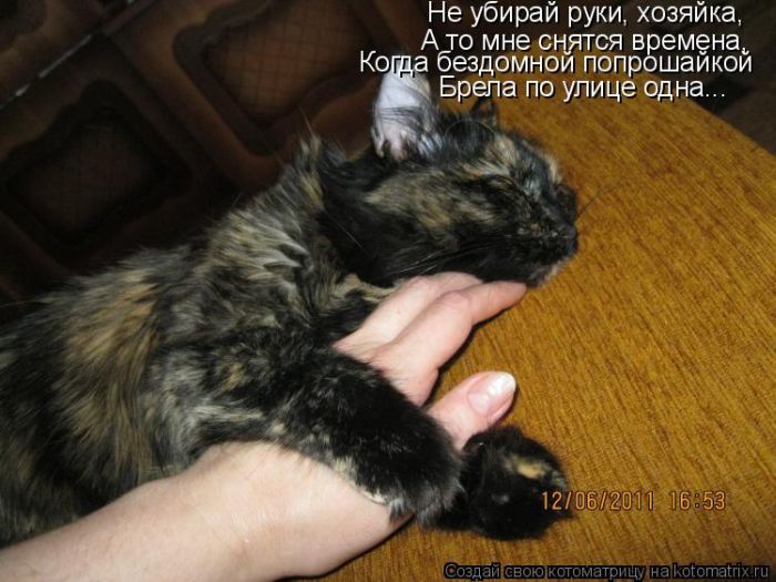 http://de.trinixy.ru/pics4/20110624/kotomatrix_38.jpg