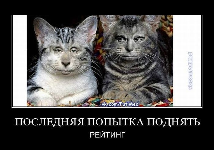 http://de.trinixy.ru/pics4/20111125/demotivatory_26.jpg
