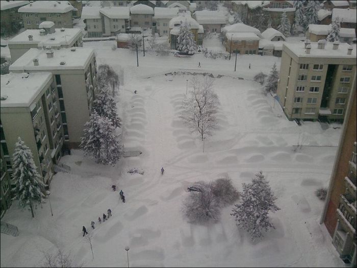http://de.trinixy.ru/pics5/20120206/too_much_snow_11.jpg