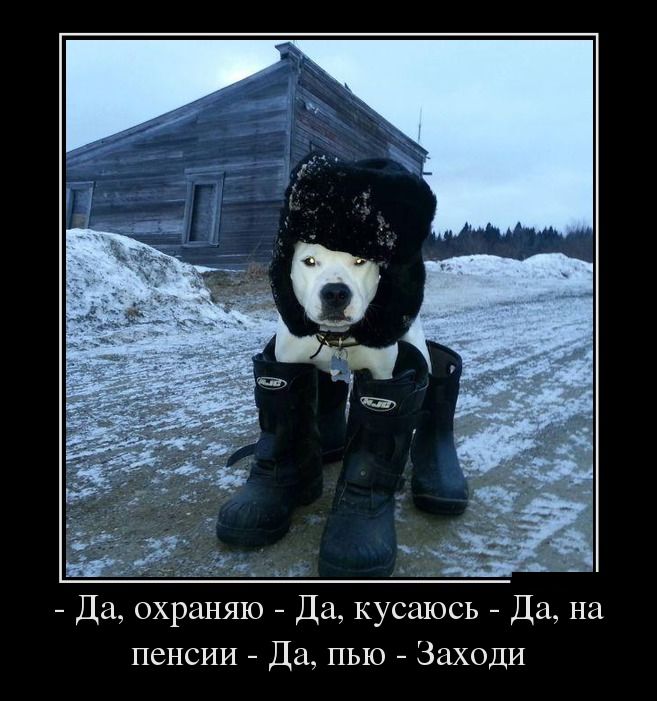 http://de.trinixy.ru/pics5/20130121/demotivatory_01.jpg